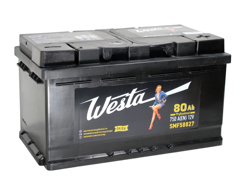 WESTA Black 6СТ